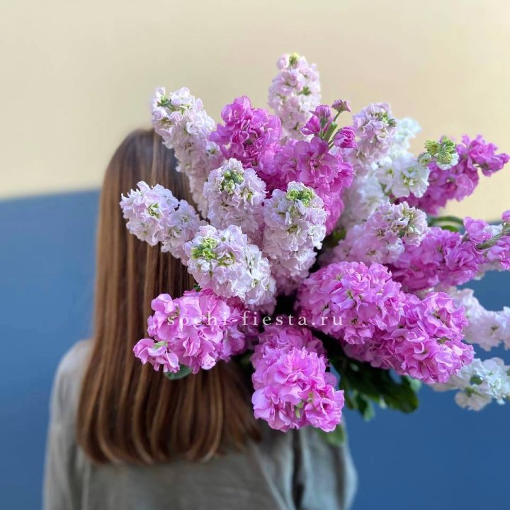 Охапка маттиолы в Ангарске