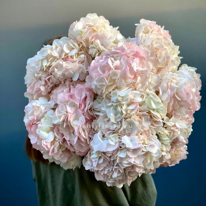 Охапка розовой гортензии в Ангарске