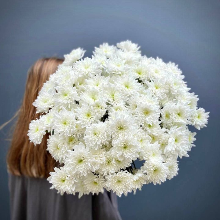 Охапка Хризантемы кустовой в Ангарске