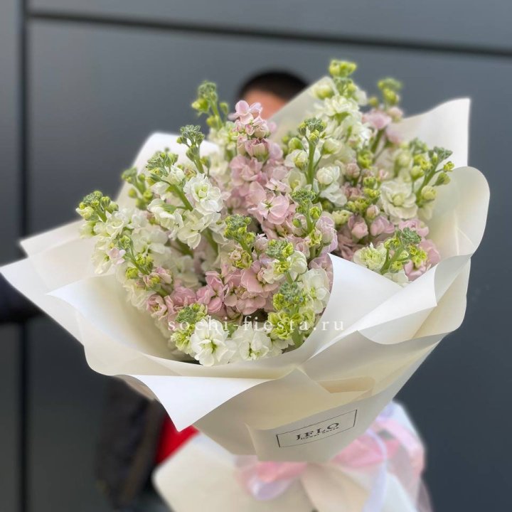 29 маттиол  в Ангарске