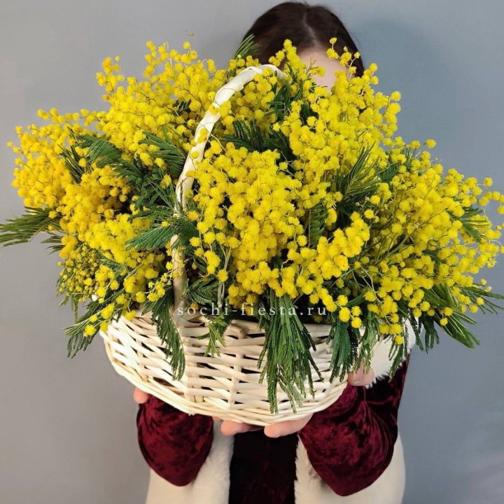 Корзина ароматной мимозы в Ангарске