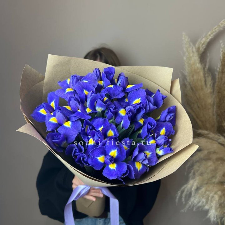 Ирисы в Ангарске