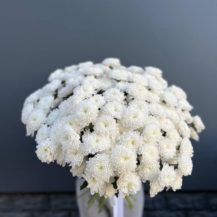  25 хризантем белых в Ангарске