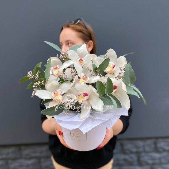 7 орхидей в боксе в Ангарске