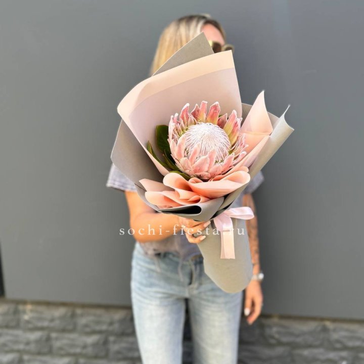 Протея мини  в Ангарске