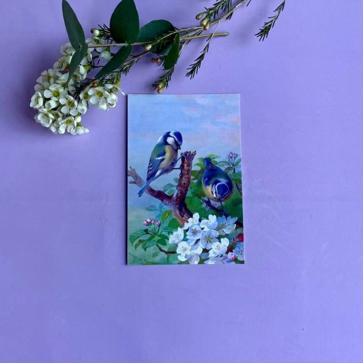 Открытка к букету "Птицы" в Ангарске