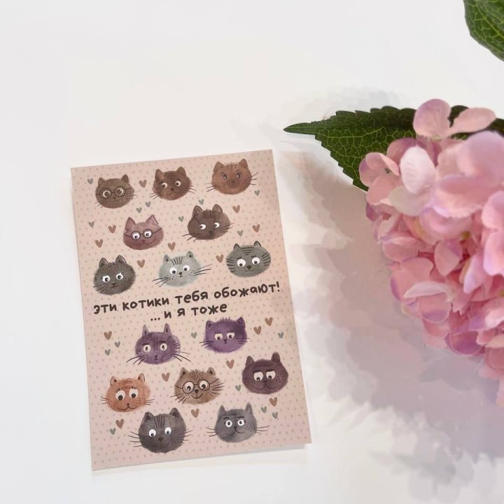 Открытка к букету "Котики" в Ангарске