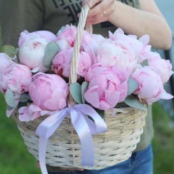 15 пионов в корзине в Ангарске