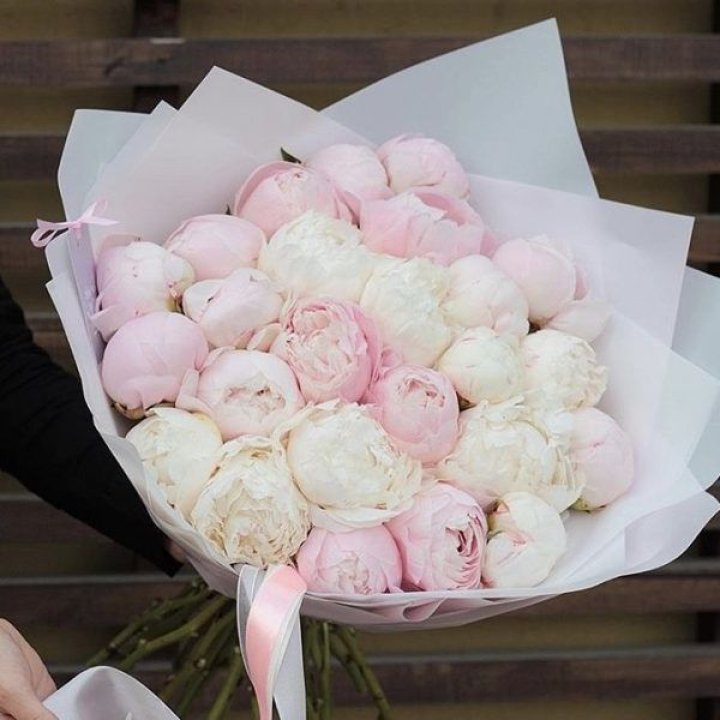 29 пионов в Ангарске