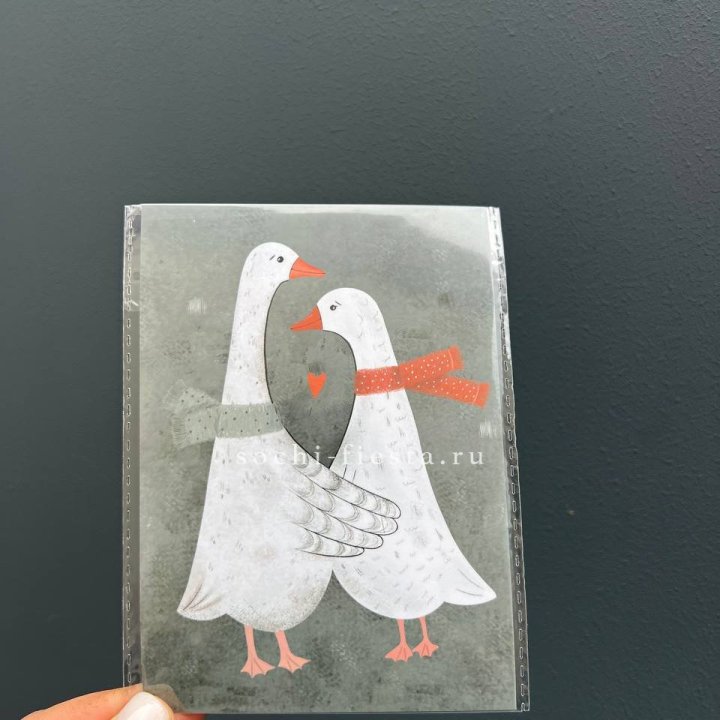 Открытка к букету "Гуси” в Ангарске