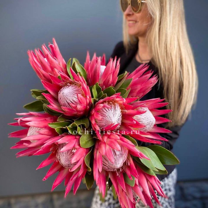 Протея штучно в Ангарске