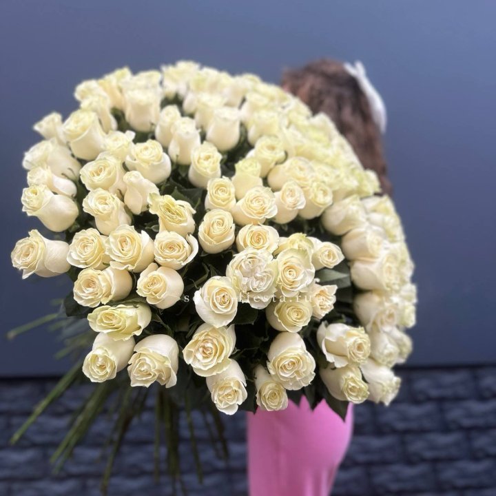 101 белая высокая импортная роза под ленту в Ангарске