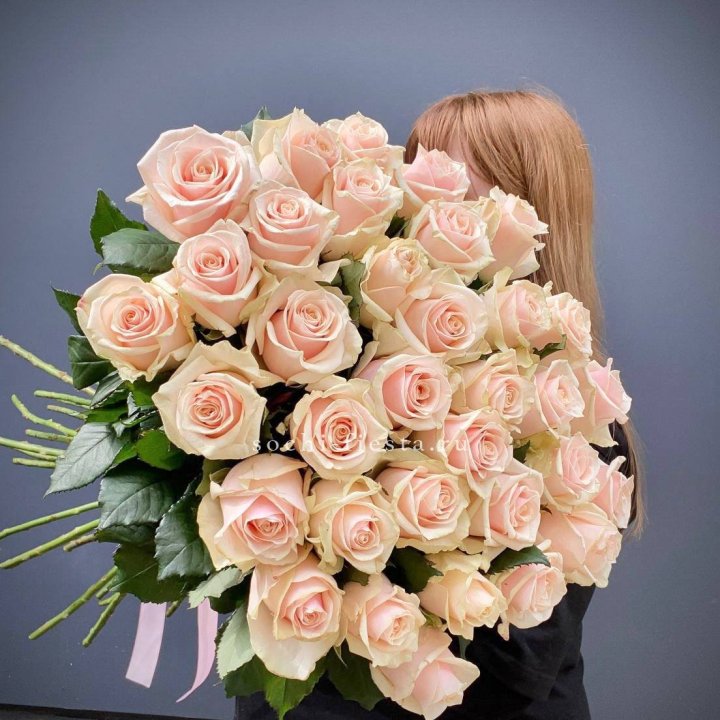 35 кремовых высоких роз в Ангарске