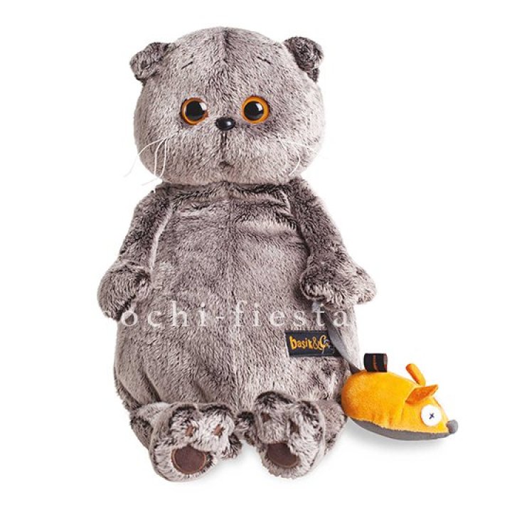 Кот Басик с мышкой в Ангарске