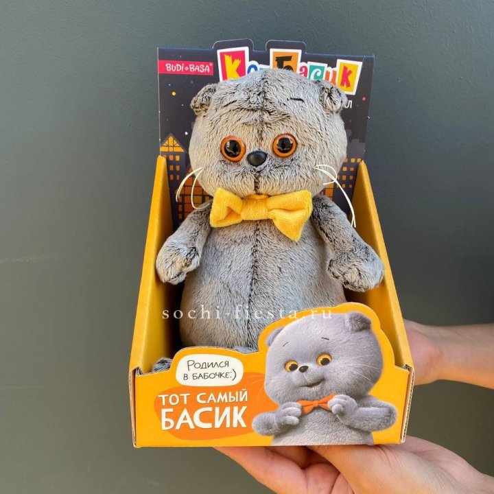 Кот Басик с бабочкой в Ангарске