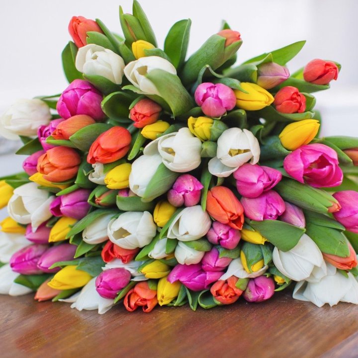 79 тюльпанов "Рандом" в Ангарске