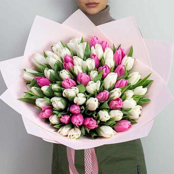 61 бело-розовый тюльпан в Ангарске