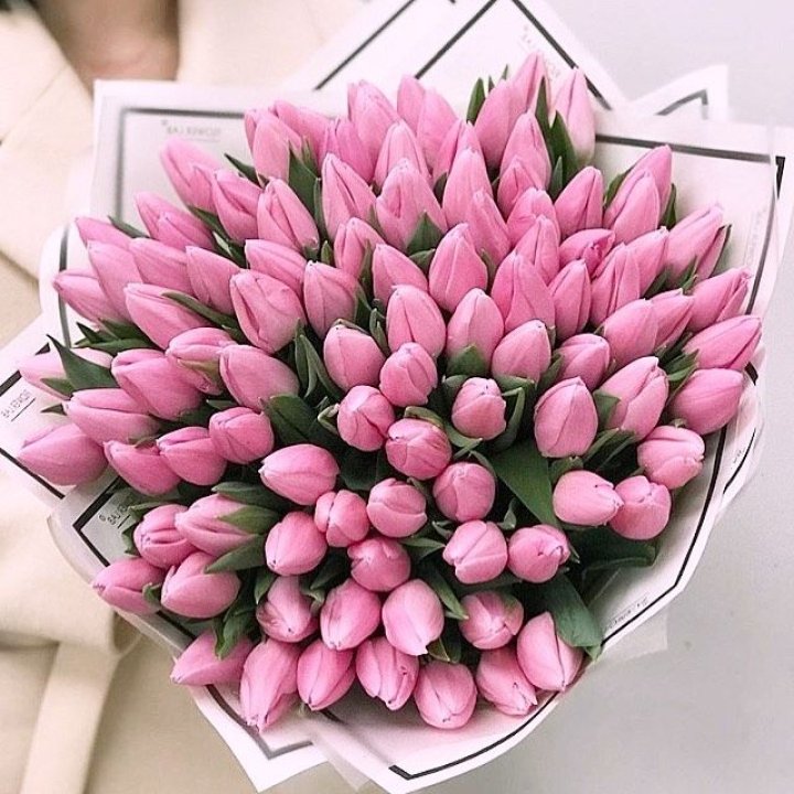 101 розовый тюльпан в белом в Ангарске