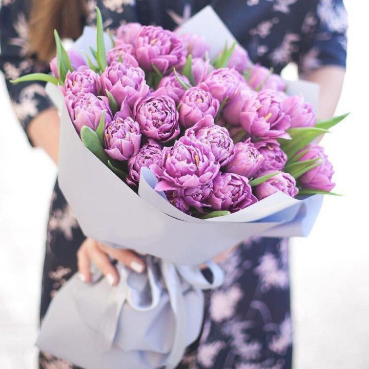 Тюльпаны "Пионс" в Ангарске