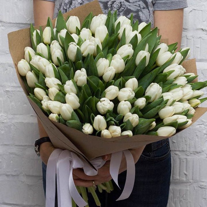 101 тюльпан сноу в Ангарске