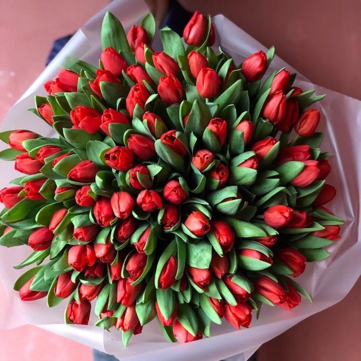 101 красный тюльпан в Ангарске